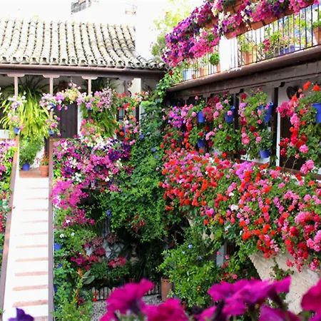 *new* Cerca De La Mezquita