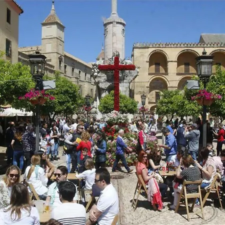 *new* Cerca De La Mezquita Apartamento *