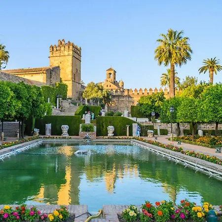 Apartamento *new* Cerca De La Mezquita *